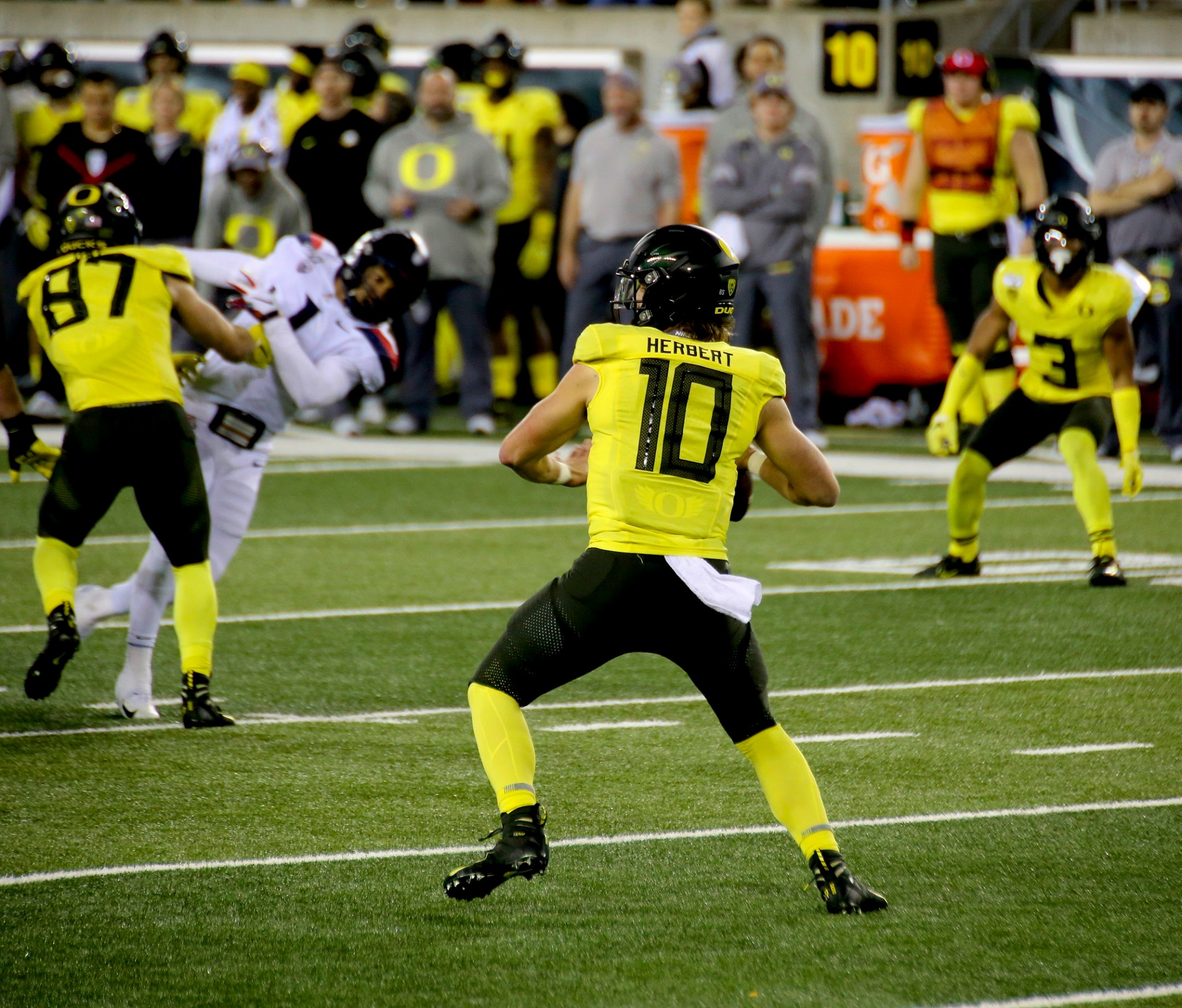 Oregon Ducks